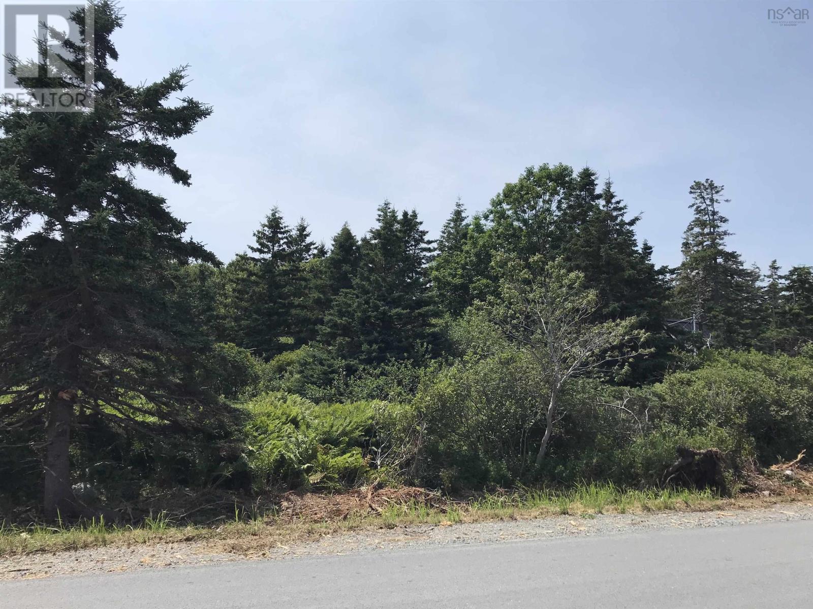 Lot (Pid 70044557) Shore Road, Western Head, Nova Scotia  B0T 1K0 - Photo 16 - 202418250