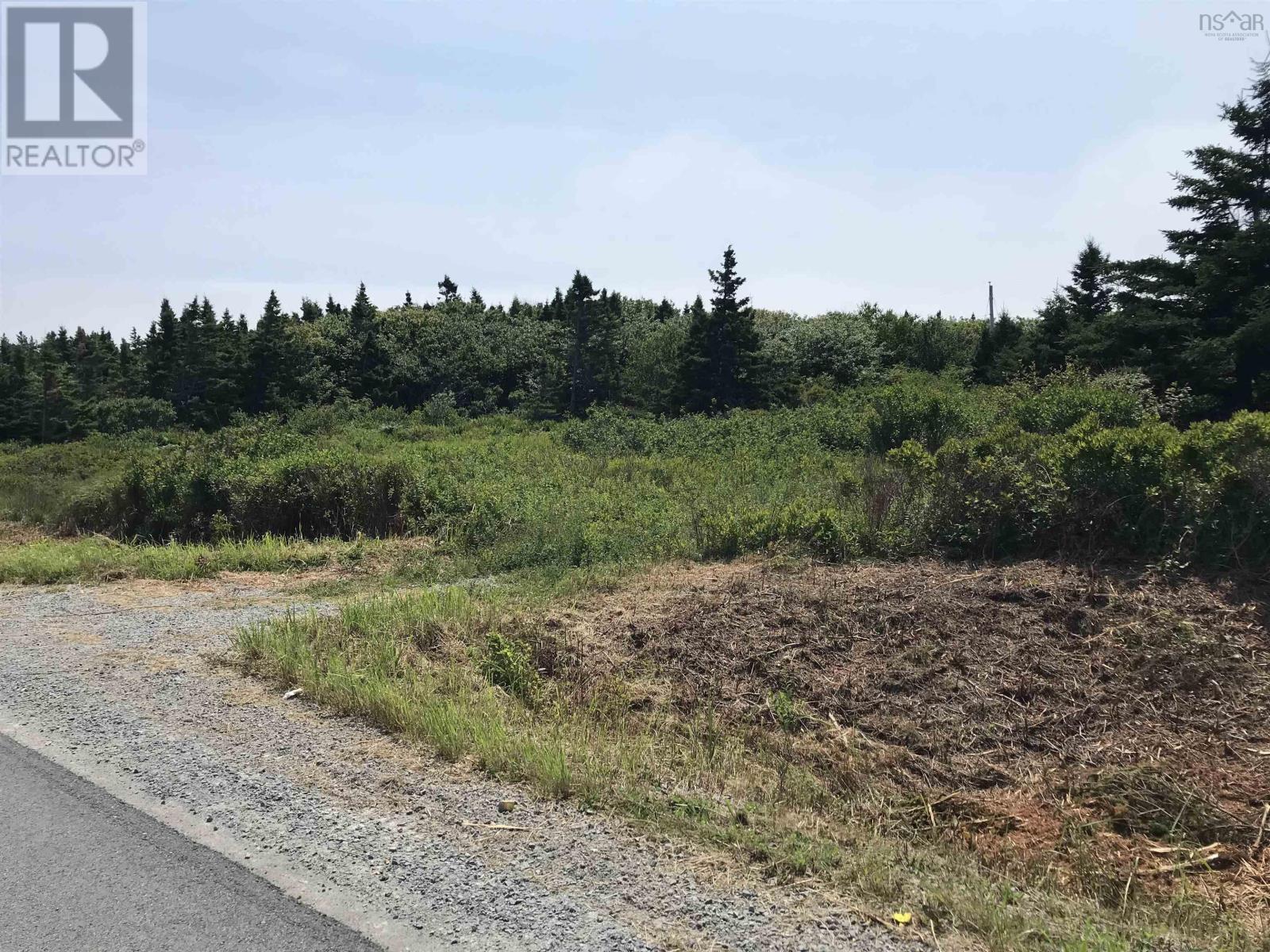 Lot (Pid 70044557) Shore Road, Western Head, Nova Scotia  B0T 1K0 - Photo 21 - 202418250