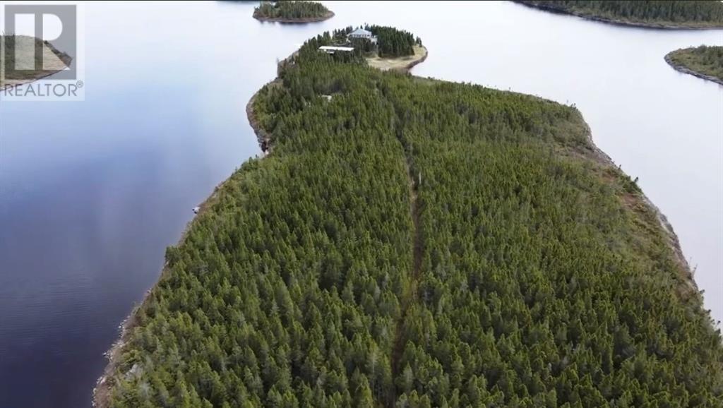 0 Island Pond, Island Pond, Newfoundland & Labrador  A0C 2G0 - Photo 3 - 1288694