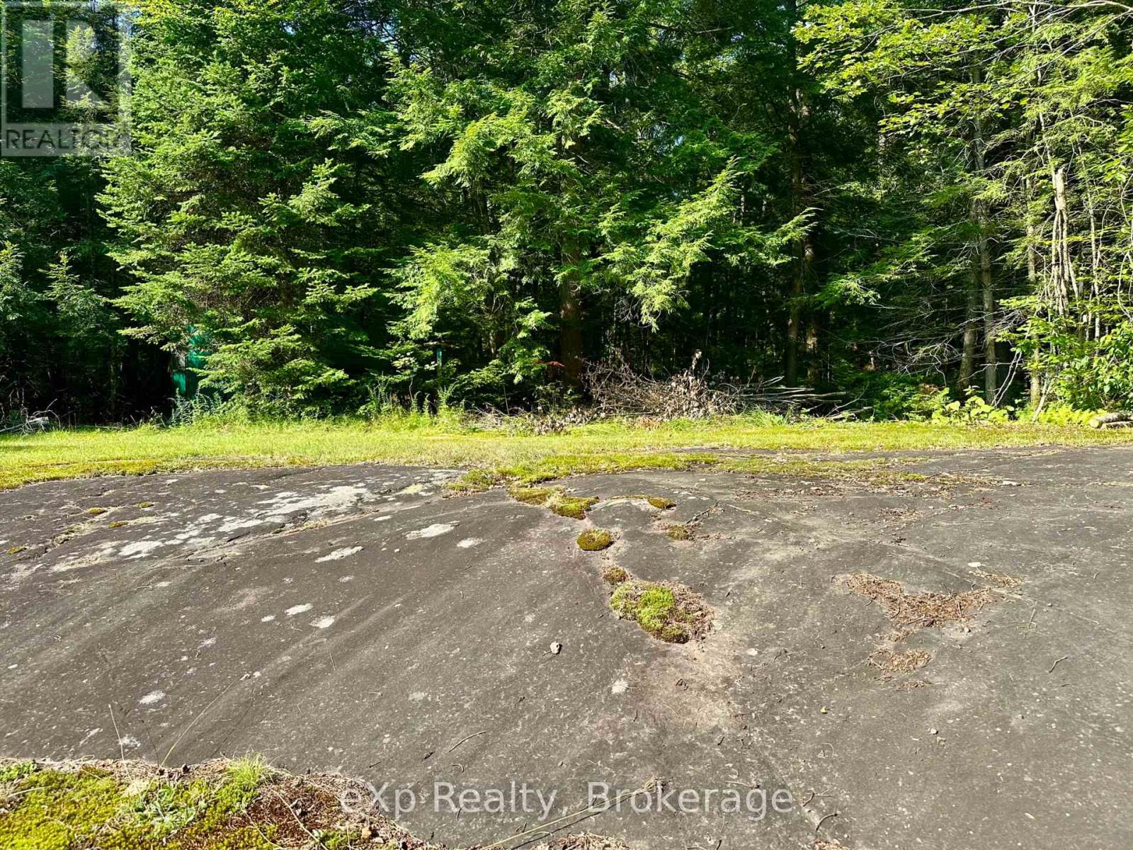 1080 Milne Road, Bracebridge, Ontario  P1L 1X1 - Photo 14 - X12338836