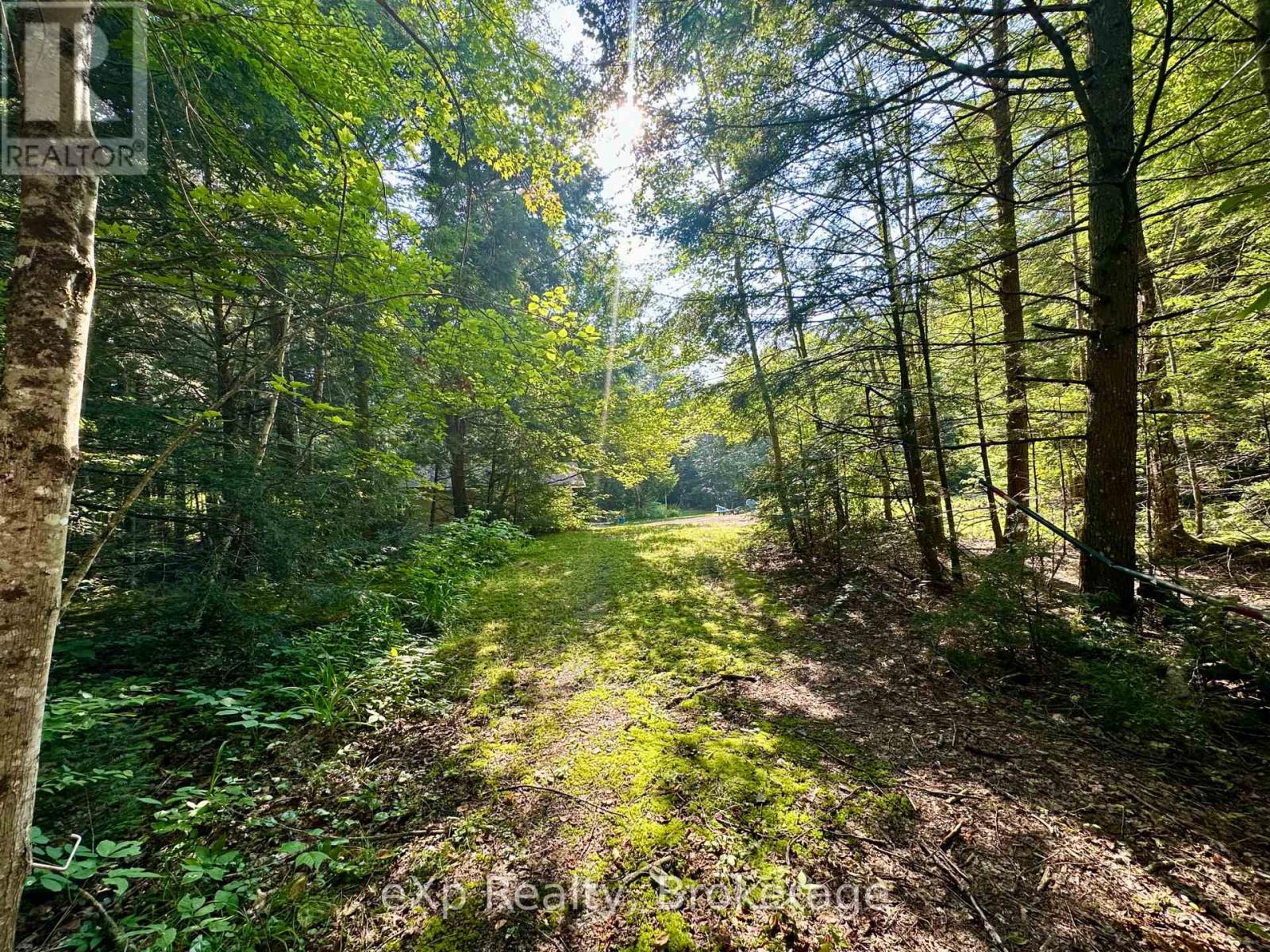 1080 Milne Road, Bracebridge, Ontario  P1L 1X1 - Photo 15 - X12338836