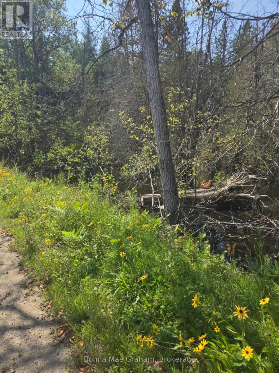 0 Macduff Road Acres E, Highlands East, Ontario  K0L 3C0 - Photo 3 - X12339012