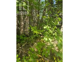 0 MACDUFF ROAD ACRES E, Highlands East, Ontario