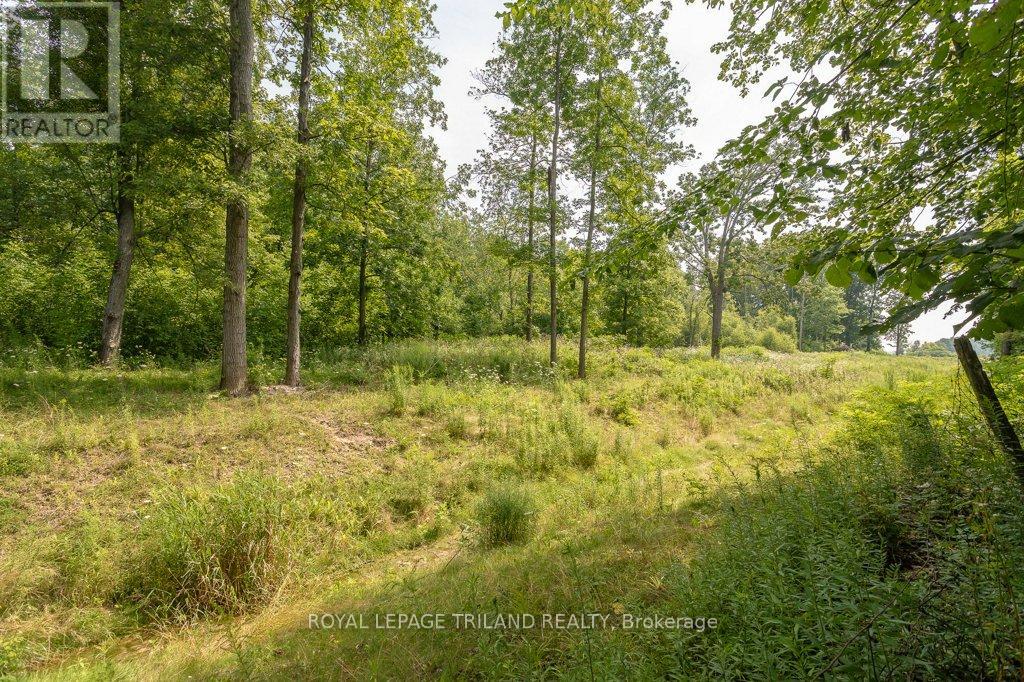 14 Poplar Street, Dutton/dunwich, Ontario  N0L 2M0 - Photo 19 - X12326902