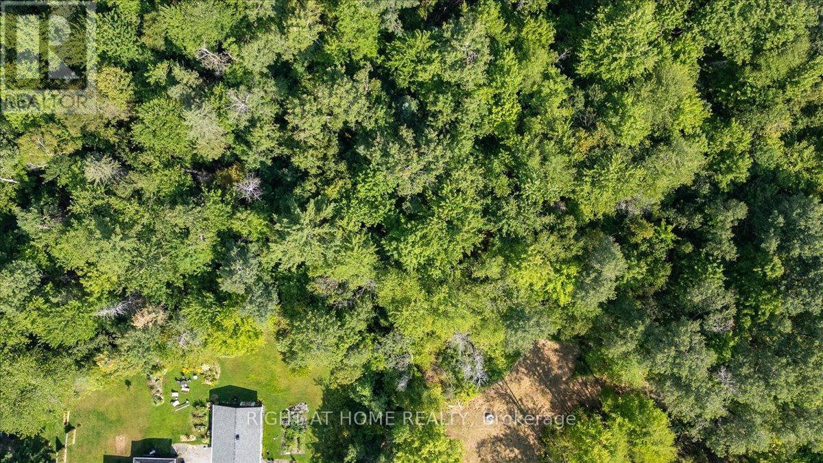 0000 Vinette Road E, Clarence-Rockland, Ontario  K0A 1N0 - Photo 4 - X12338120