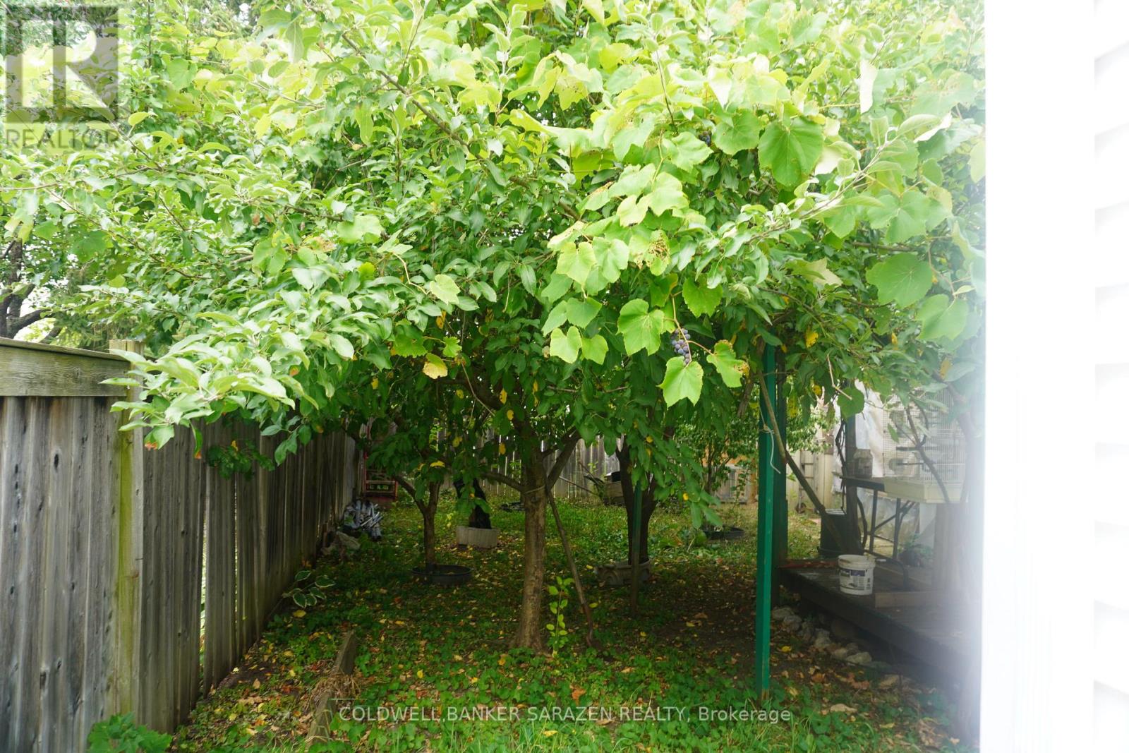 3561 Trappers Road, Ottawa, Ontario  K1T 2R1 - Photo 15 - X12339275
