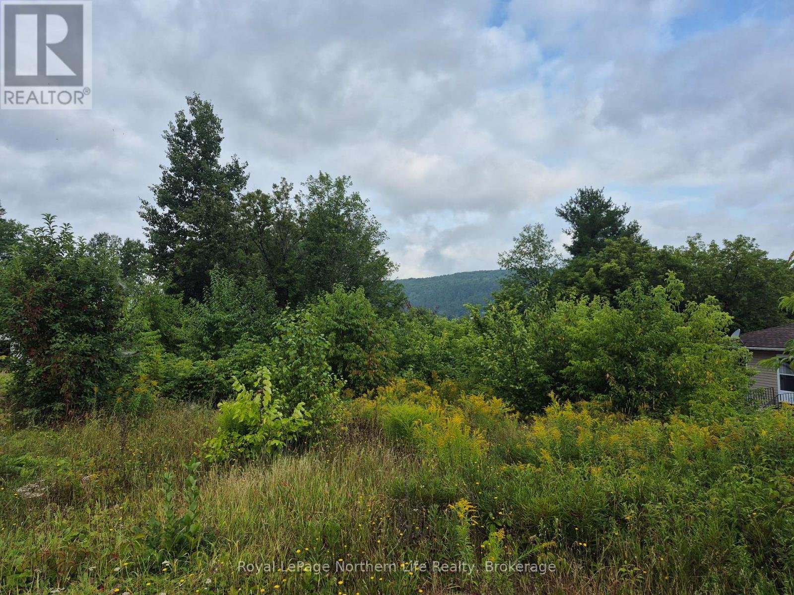 560 New Street, Mattawa, Ontario  P0H 1V0 - Photo 3 - X12339212