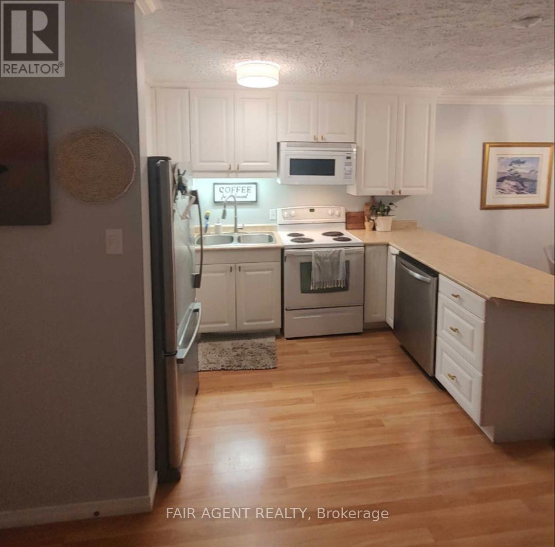 207 - 229 Adelaide Street, Saugeen Shores, Ontario  N0H 2L0 - Photo 3 - X12332110