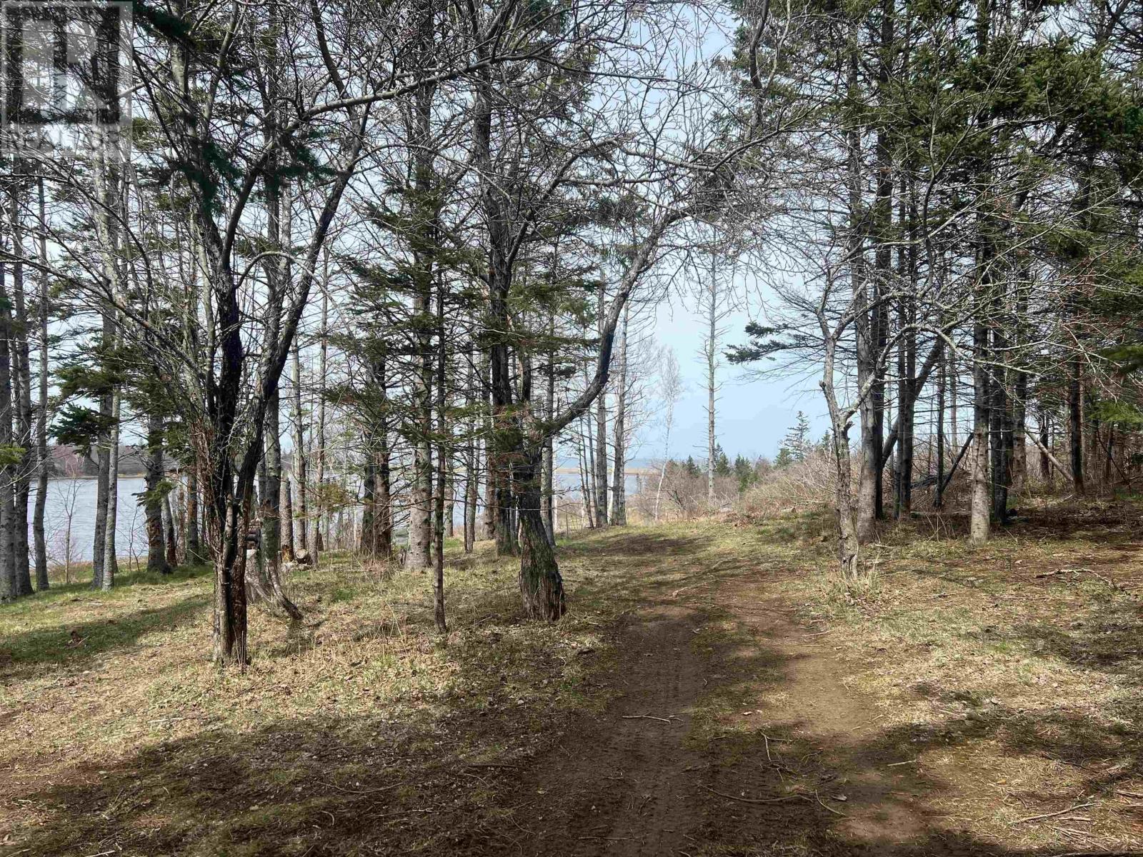 22-1 Galt Pond Lane, Ponds, Nova Scotia  B0K 1G0 - Photo 3 - 202509450