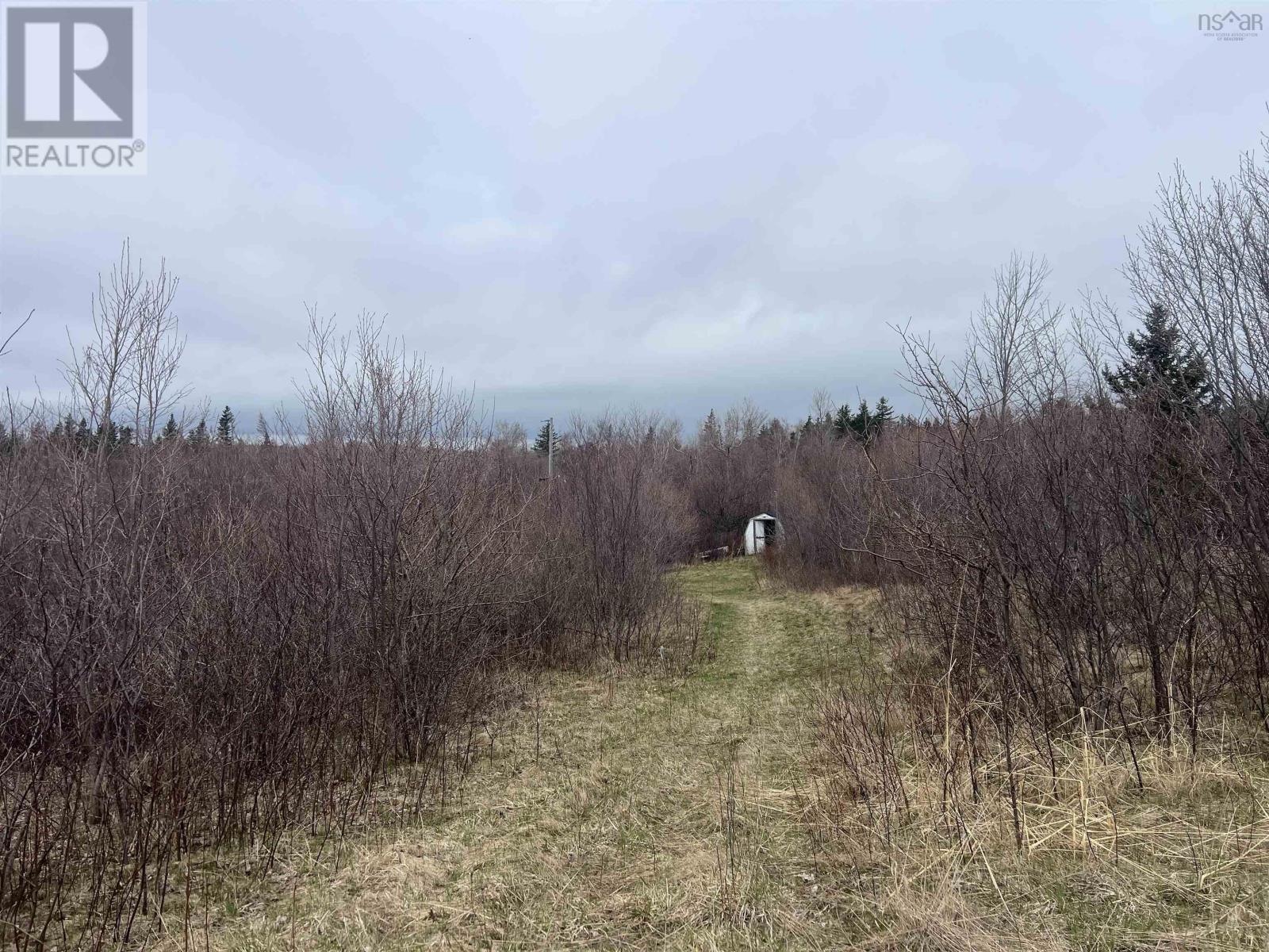 22-1 Galt Pond Lane, Ponds, Nova Scotia  B0K 1G0 - Photo 7 - 202509450