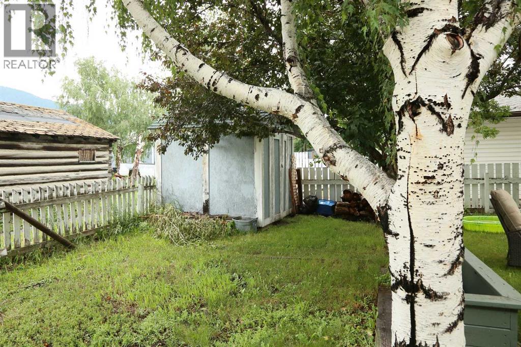 7070 18 Avenue, Coleman, Alberta  T0K 0M0 - Photo 22 - A2230985