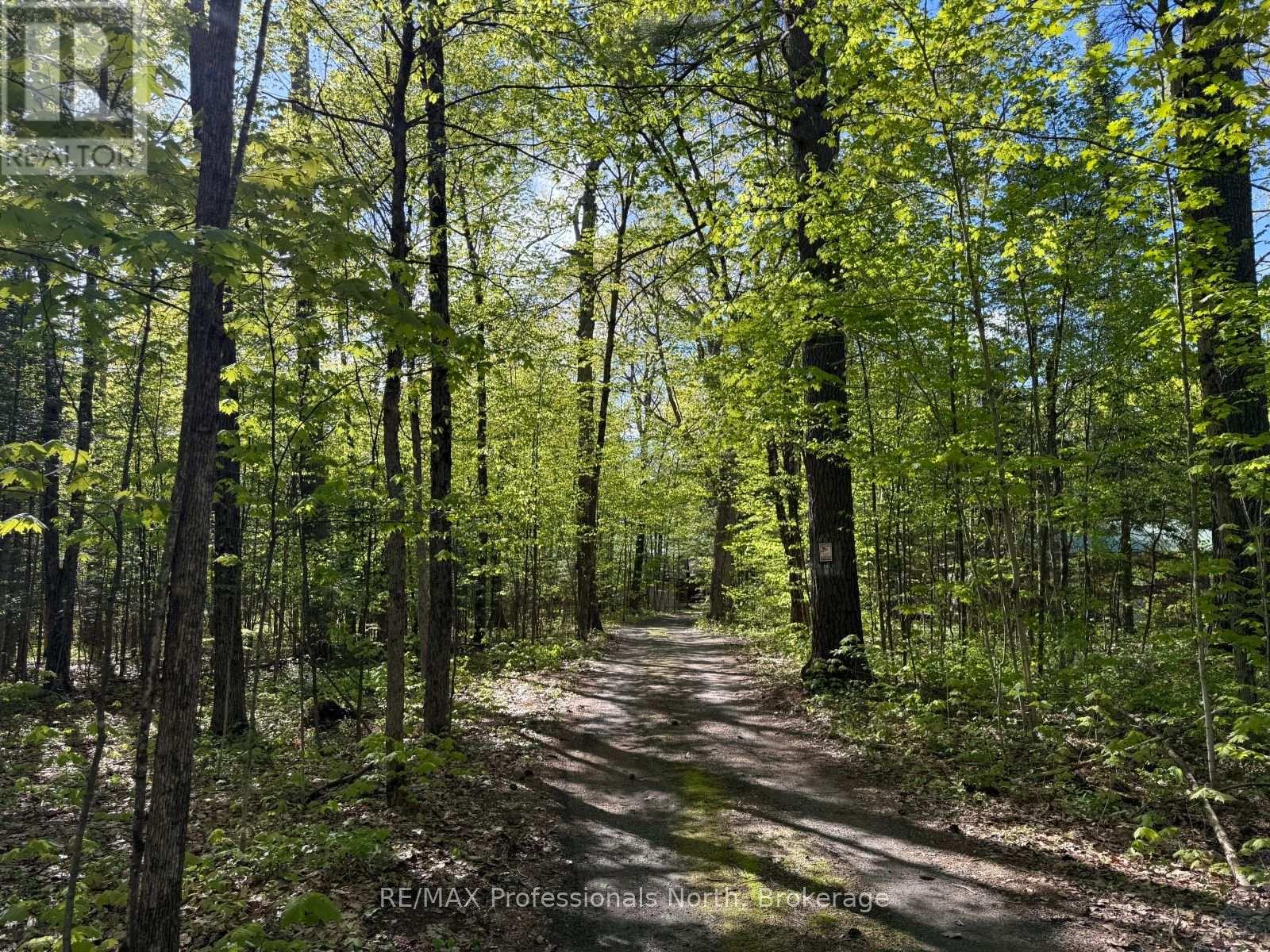 15111 Highway 35, Minden Hills, Ontario  K0M 2K0 - Photo 44 - X12081229
