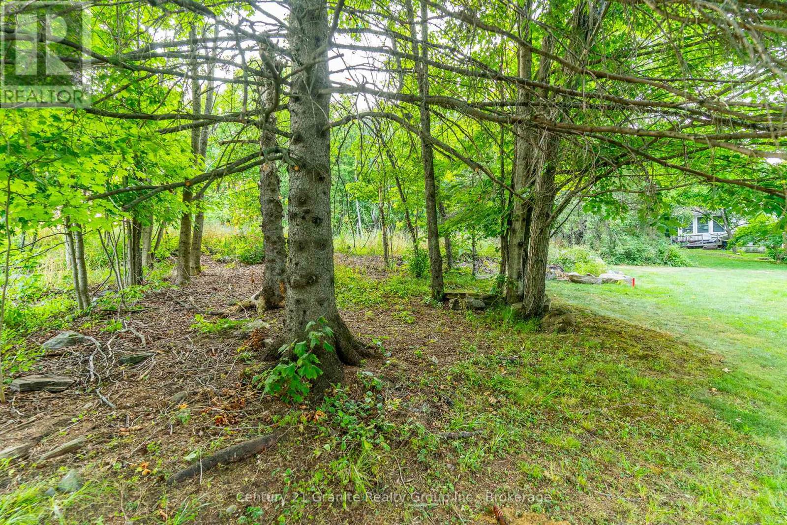 7 Marluc Avenue, Minden Hills, Ontario  K0M 2K0 - Photo 42 - X12339442