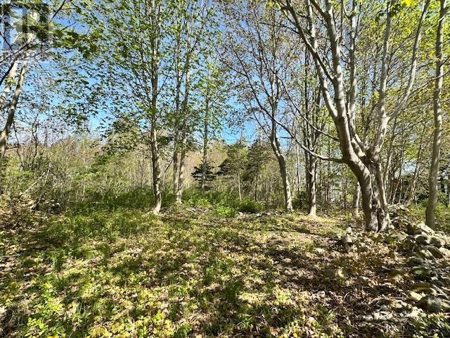 Lot (Pid 70041306) Pleasant Avenue, Mount Pleasant, Nova Scotia  B0T 1K0 - Photo 4 - 202511130