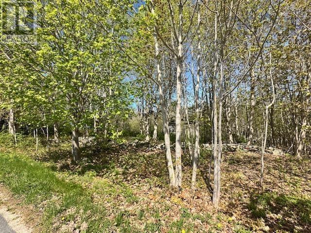 Lot (Pid 70041306) Pleasant Avenue, Mount Pleasant, Nova Scotia  B0T 1K0 - Photo 3 - 202511130