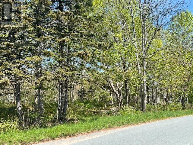 Lot (Pid 70041306) Pleasant Avenue, Mount Pleasant, Nova Scotia  B0T 1K0 - Photo 2 - 202511130