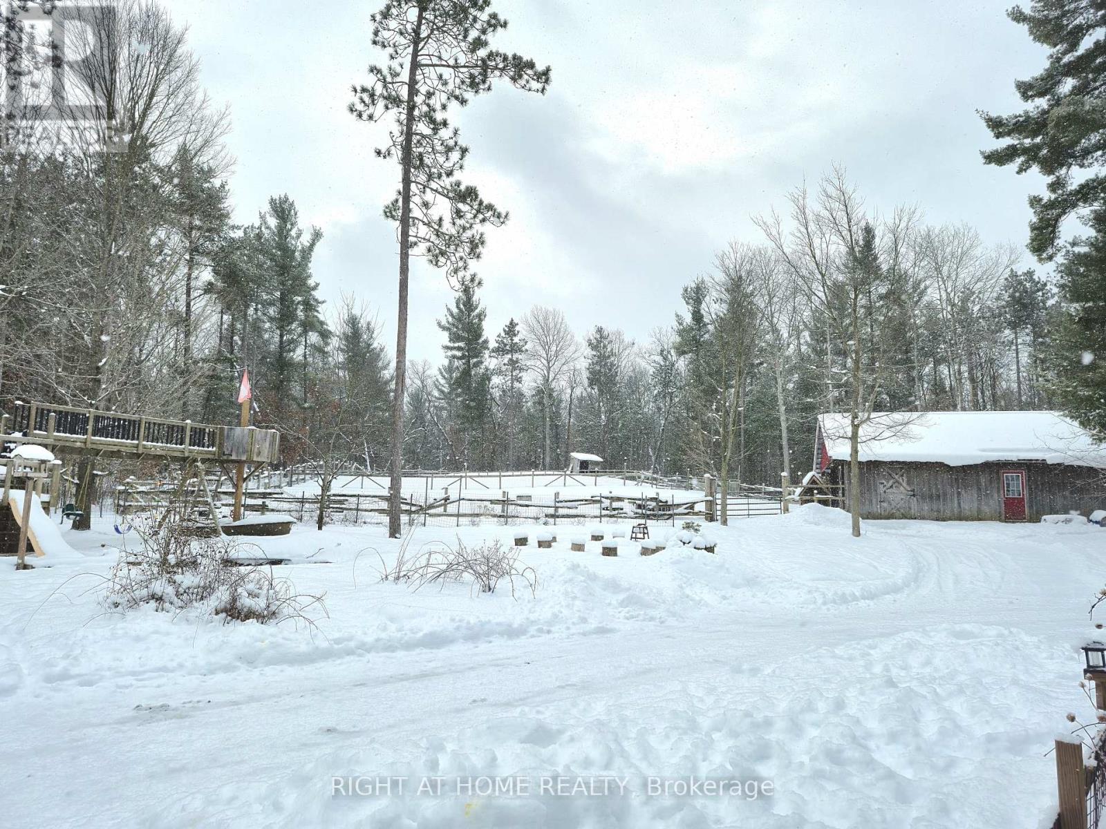 414 Pratt Road, Alnwick/haldimand, Ontario  K0K 3K0 - Photo 42 - X12339475