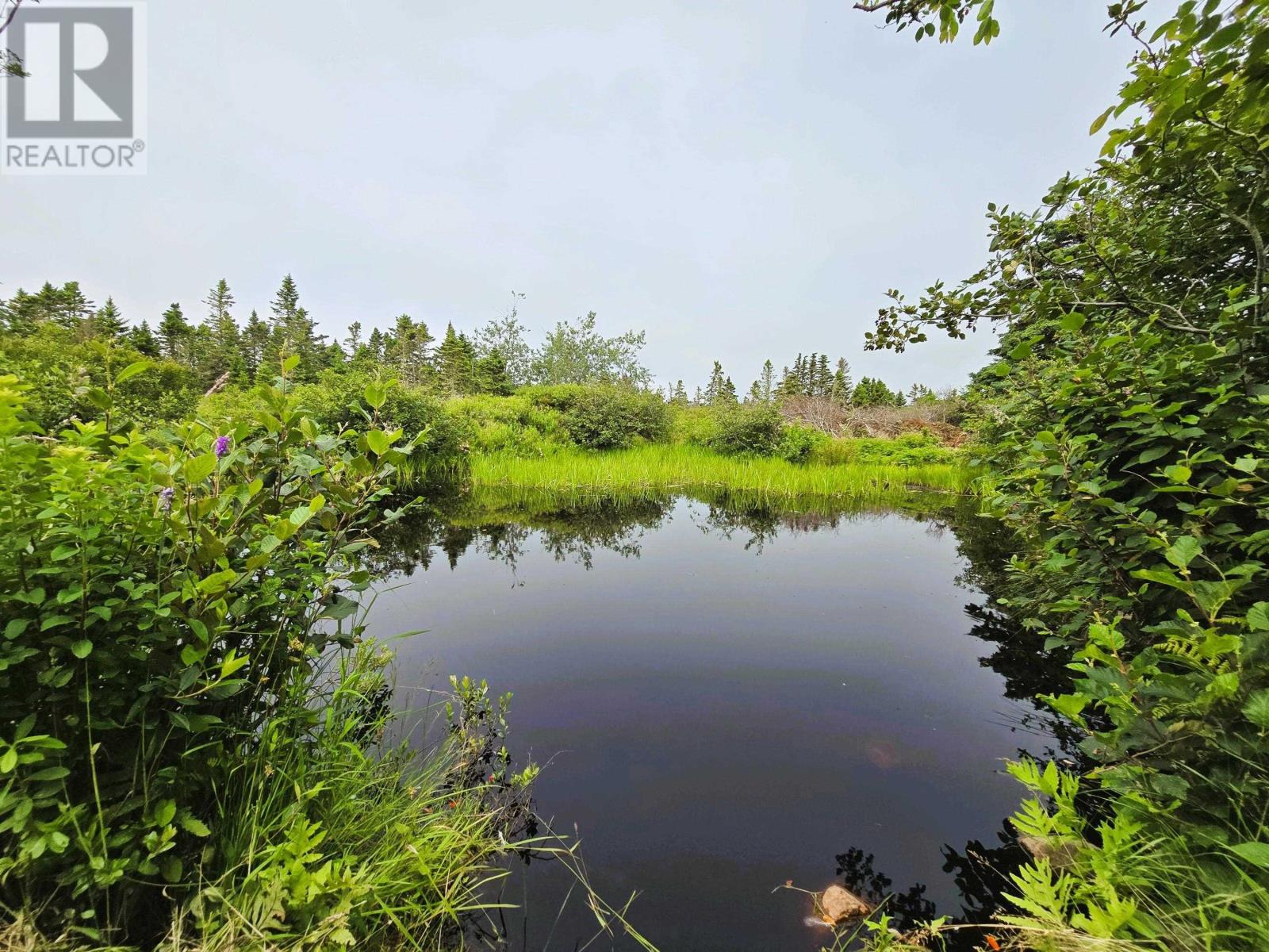 248 Chebogue Point Road, Chebogue Point, Nova Scotia  B5A 5E0 - Photo 34 - 202517967