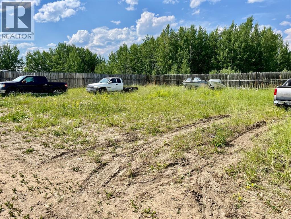 4902 36 Street, Rocky Mountain House, Alberta  T4T 1A5 - Photo 9 - A2247205