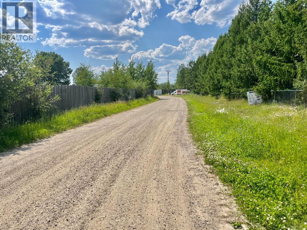 4902 36 Street, Rocky Mountain House, Alberta  T4T 1A5 - Photo 5 - A2247205