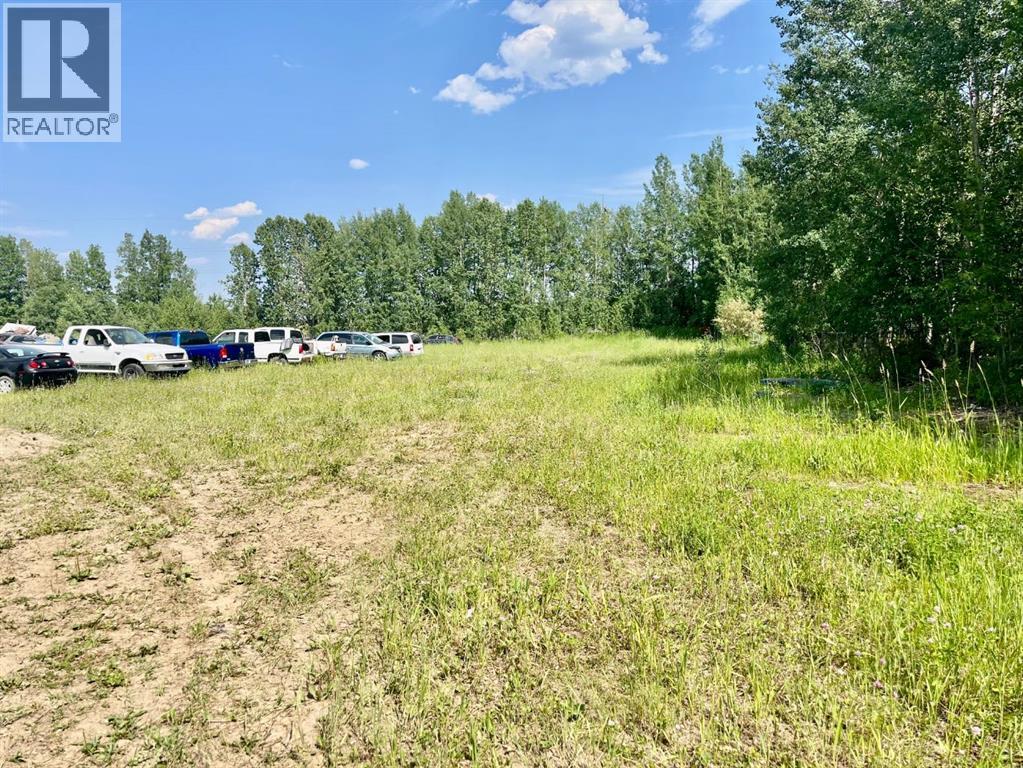 4902 36 Street, Rocky Mountain House, Alberta  T4T 1A5 - Photo 18 - A2247205