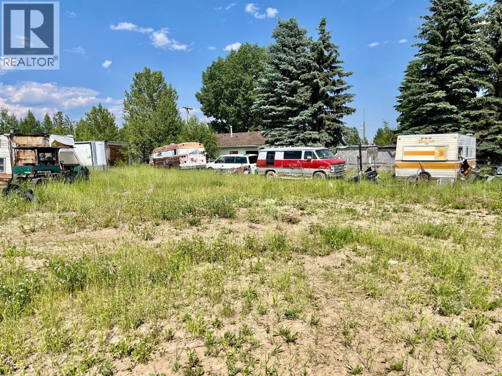 4902 36 Street, Rocky Mountain House, Alberta  T4T 1A5 - Photo 7 - A2247205