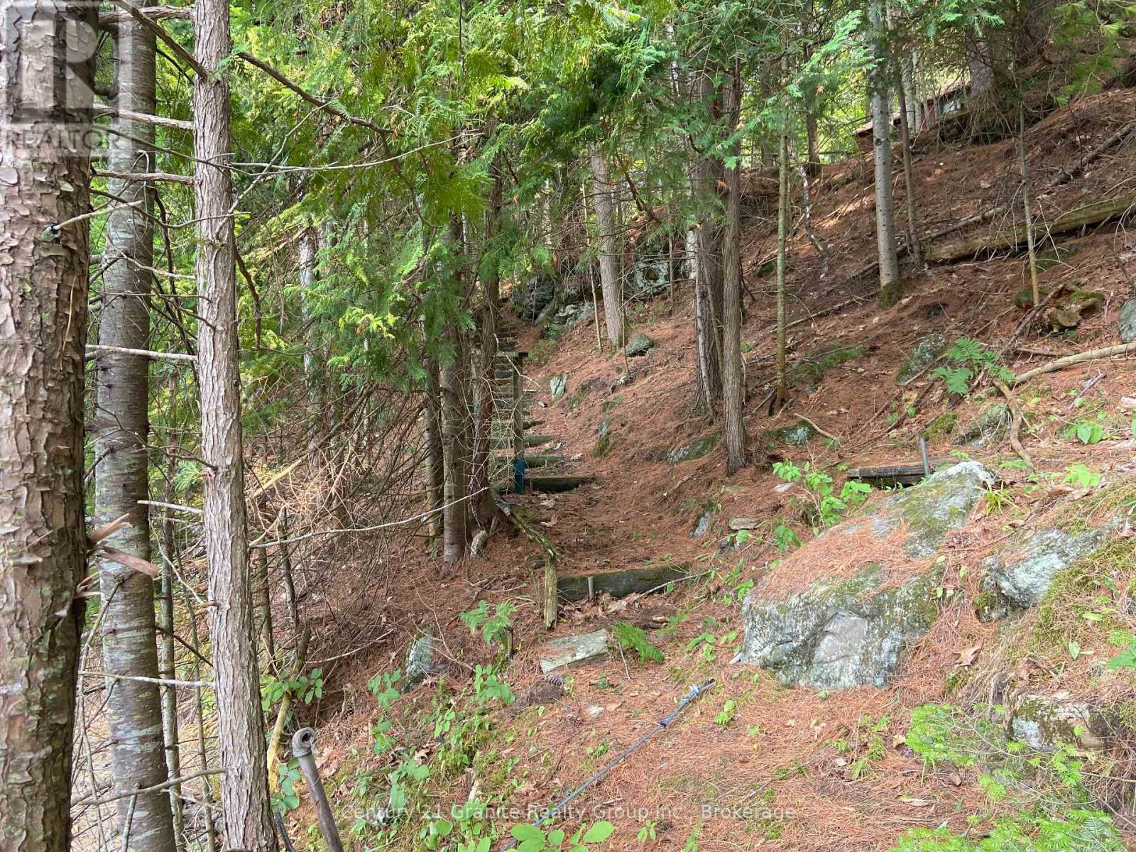 1035 Nawautin Lane, Minden Hills, Ontario  K0M 2K0 - Photo 32 - X12337264