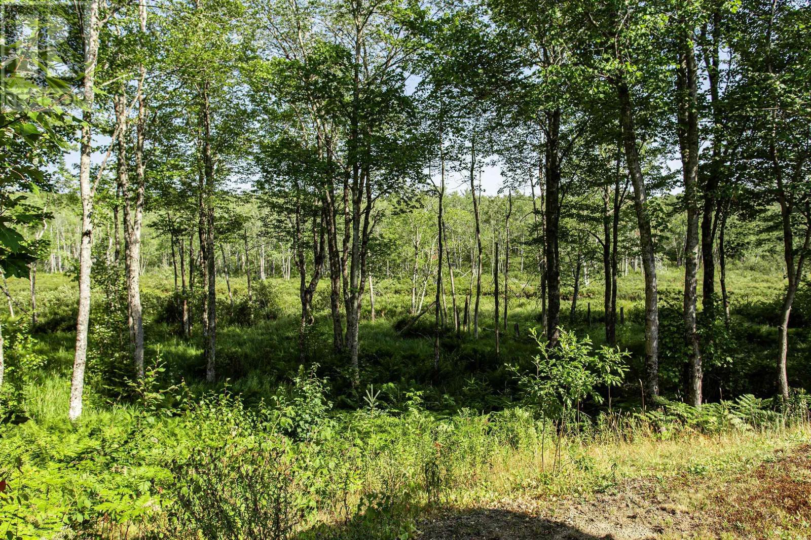 5052 Clementsvale Road, Princedale, Nova Scotia  B0S 1G0 - Photo 14 - 202520338