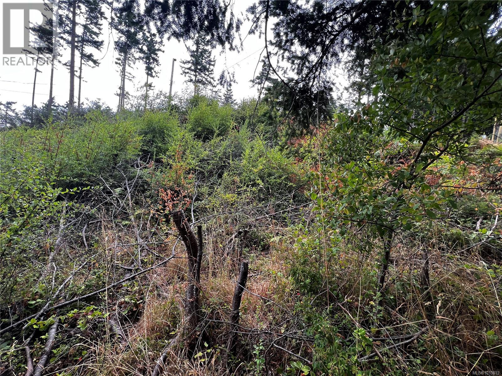 Unknown Address, ,    - Photo 25 - 1010812