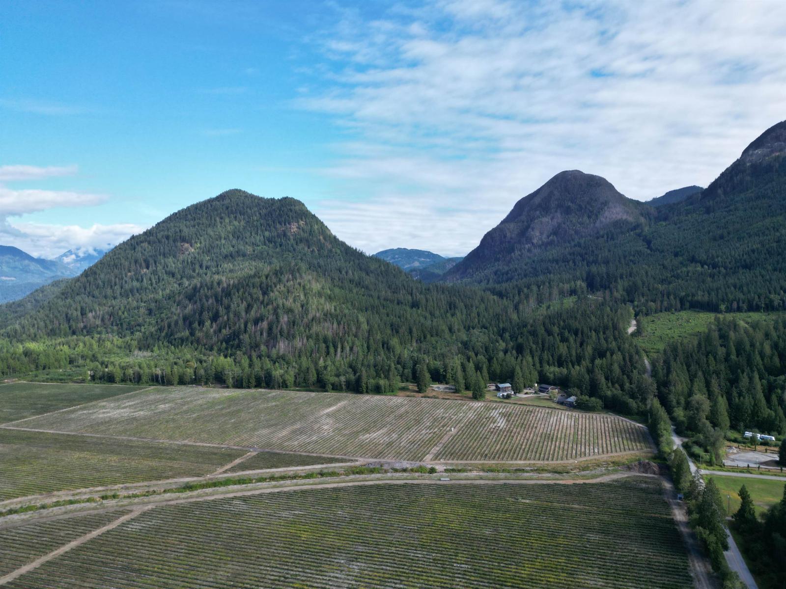 241ac Sylvester Road, Mission, British Columbia  V2V 7G7 - Photo 3 - R3035886