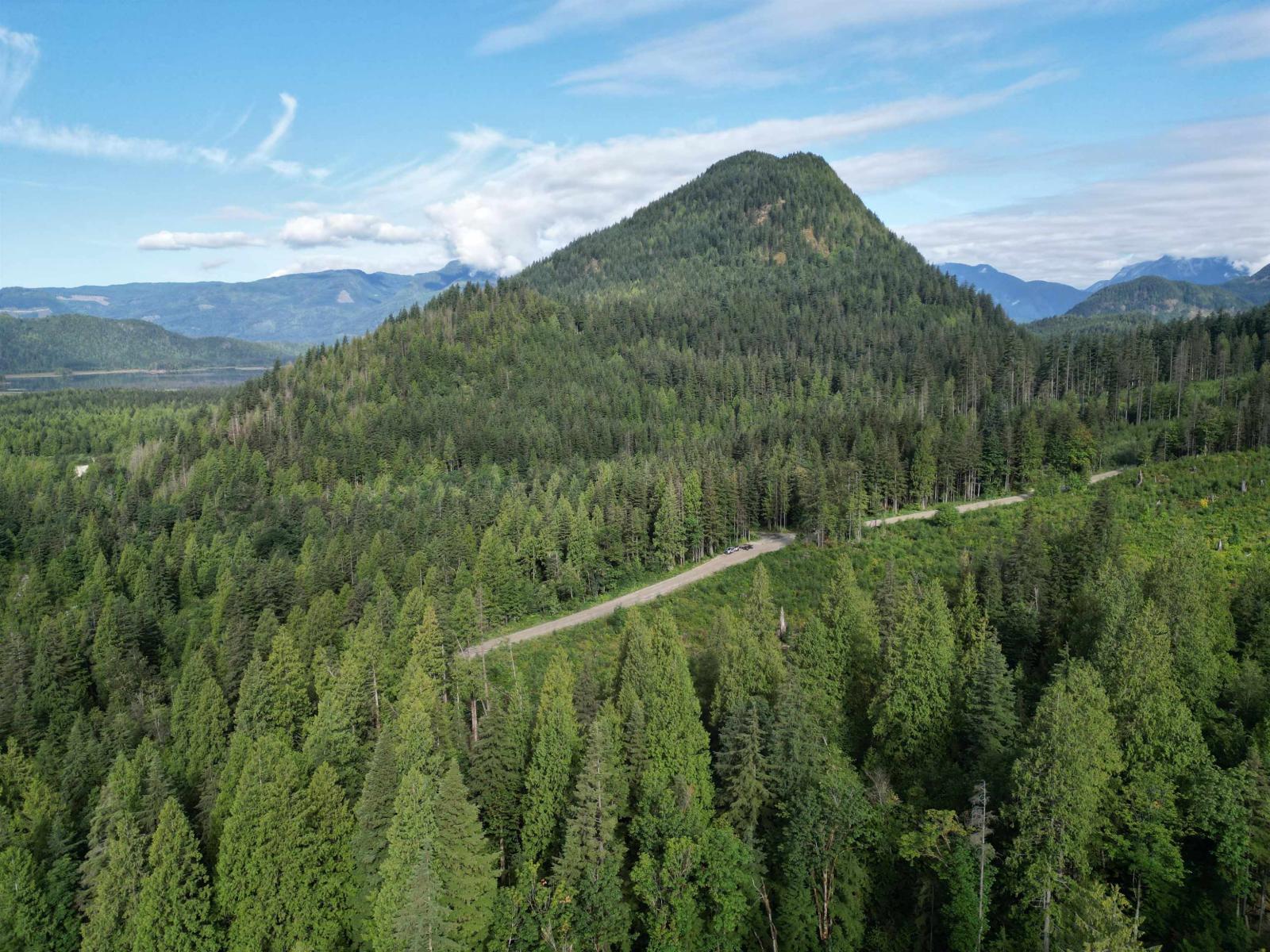 241ac Sylvester Road, Mission, British Columbia  V2V 7G7 - Photo 15 - R3035886