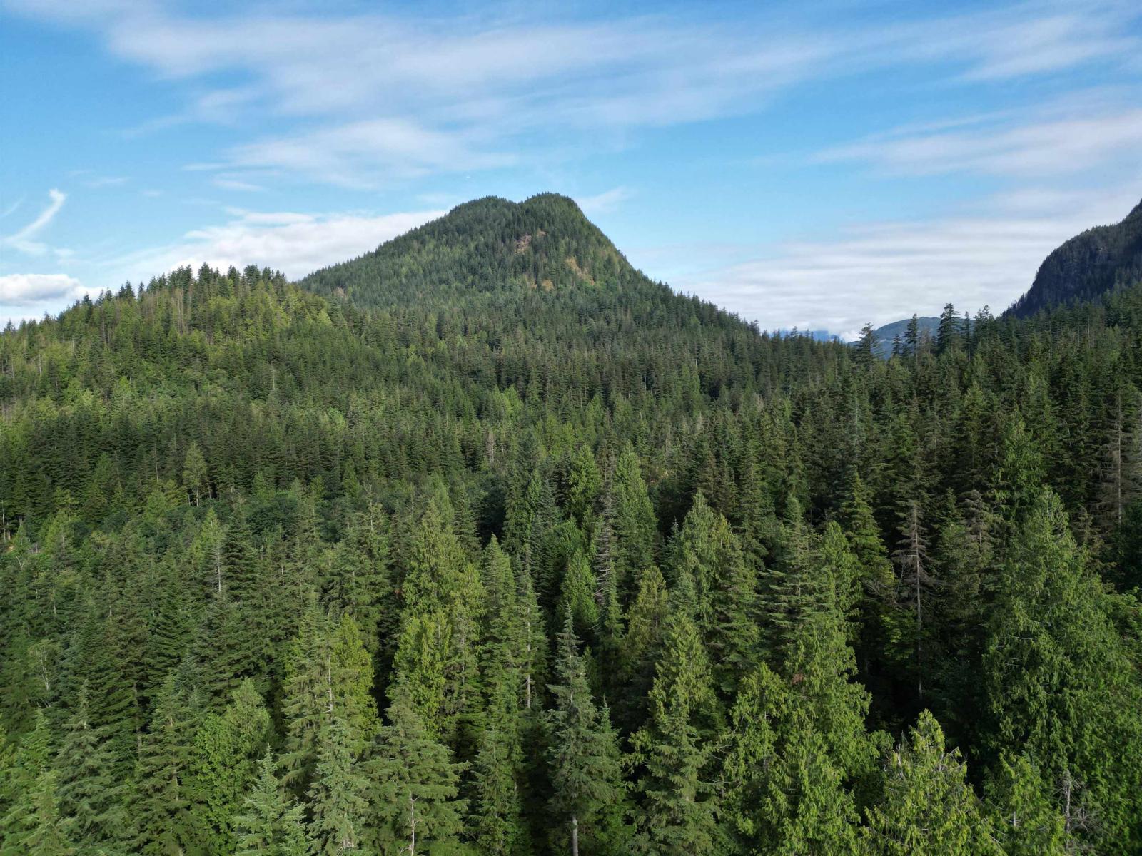 241ac Sylvester Road, Mission, British Columbia  V2V 7G7 - Photo 10 - R3035886