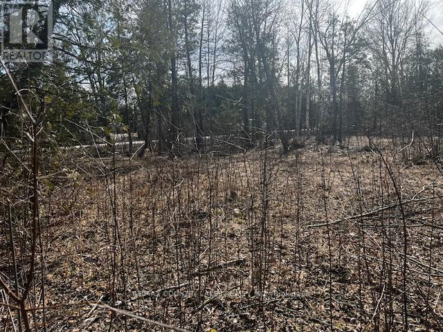 122-123 Riverview Beach Road, Georgina (Pefferlaw), Ontario  L0E 1N0 - Photo 10 - N12066737