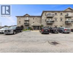 44 ROBSON Unit# 315, Leamington, Ontario