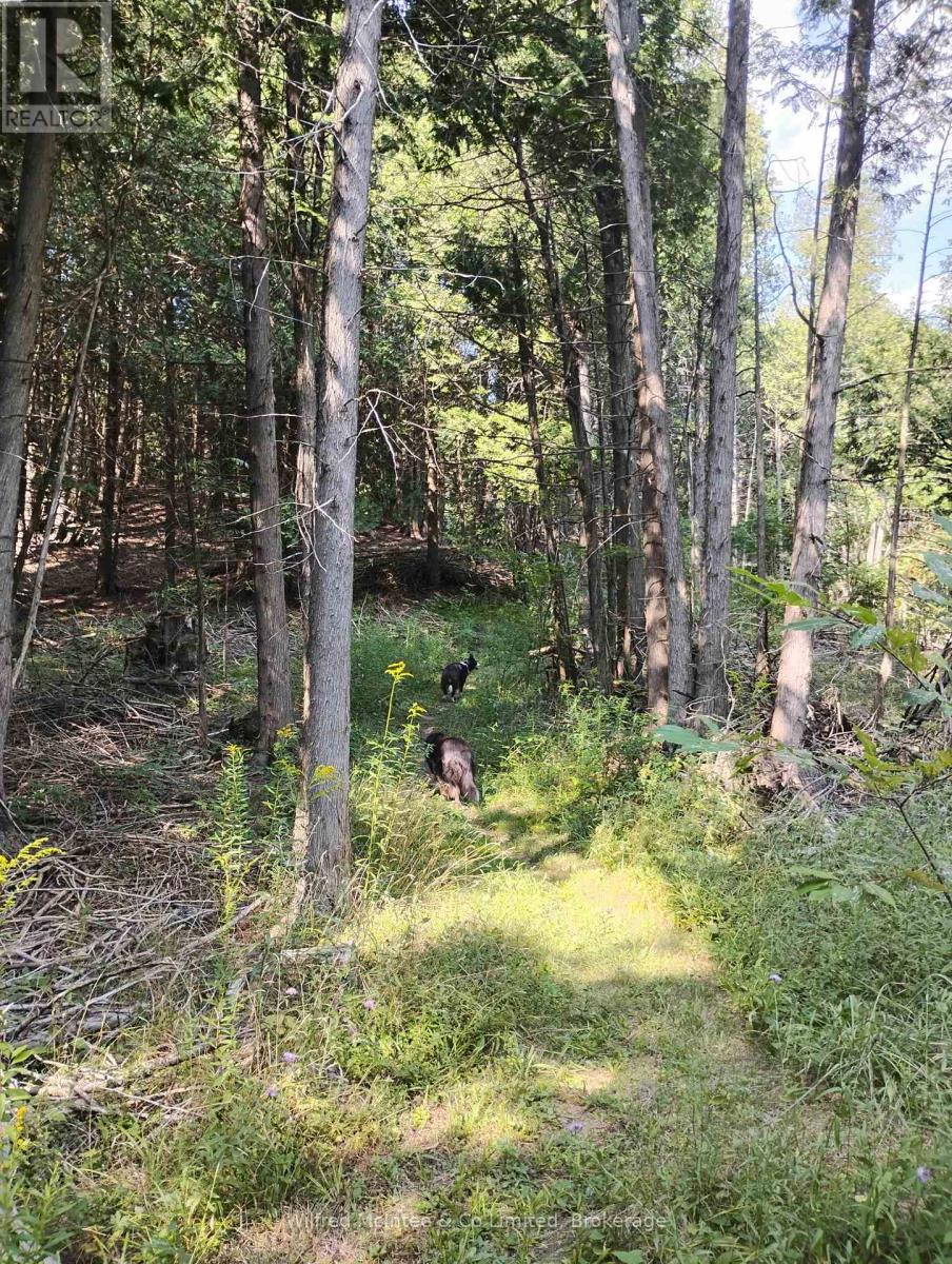 620026 Robson Road, Chatsworth, Ontario  N0H 1R0 - Photo 20 - X12314748