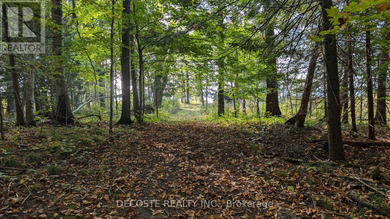 N/a Concession 3 Road, North Glengarry, Ontario  K0C 2J0 - Photo 2 - X12340174