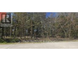 LT 14 REMI ROAD, Tiny, Ontario