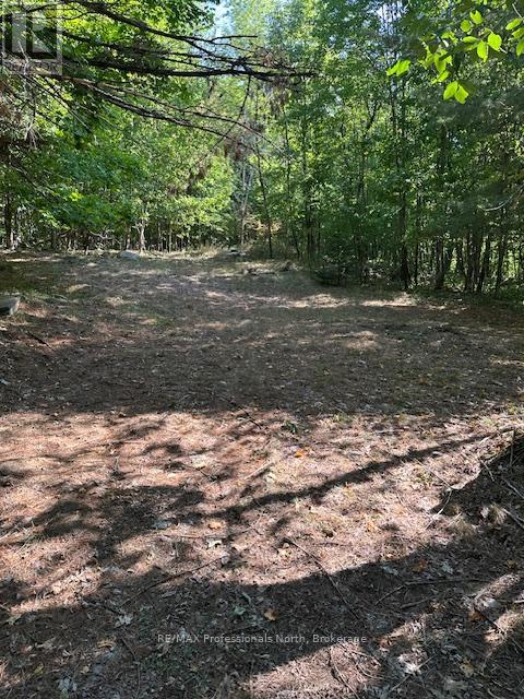 2875 County Road 21 Road, Minden Hills, Ontario  K0M 2K0 - Photo 10 - X12340307