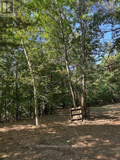 2875 County Road 21 Road, Minden Hills, Ontario  K0M 2K0 - Photo 15 - X12340307