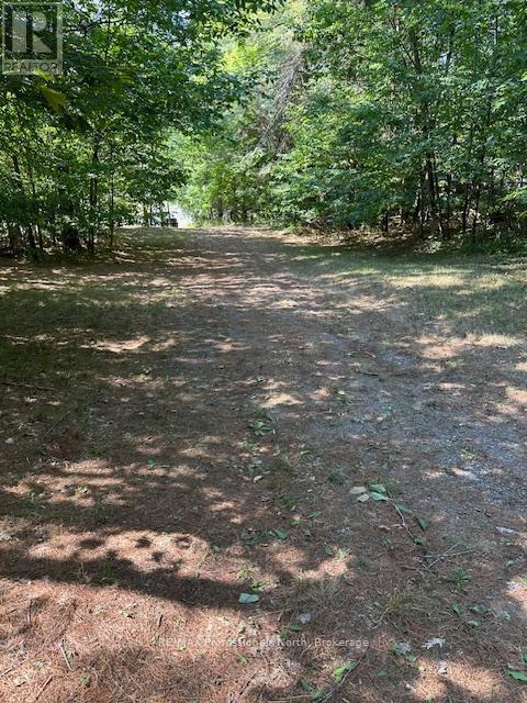 2875 County Road 21 Road, Minden Hills, Ontario  K0M 2K0 - Photo 16 - X12340307