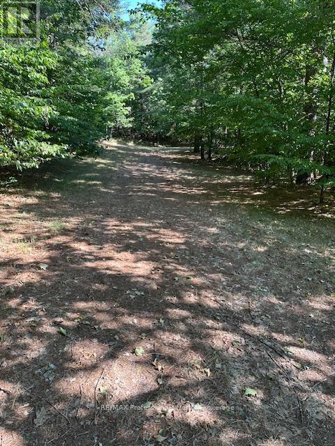 2875 County Road 21 Road, Minden Hills, Ontario  K0M 2K0 - Photo 18 - X12340307