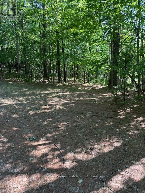 2875 County Road 21 Road, Minden Hills, Ontario  K0M 2K0 - Photo 19 - X12340307
