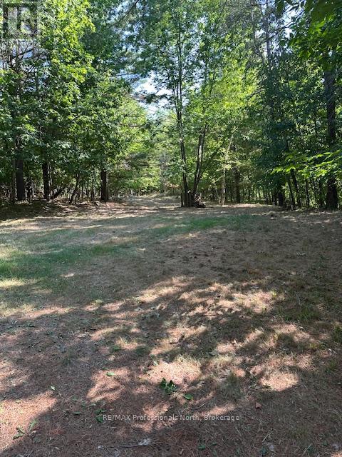 2875 County Road 21 Road, Minden Hills, Ontario  K0M 2K0 - Photo 6 - X12340307