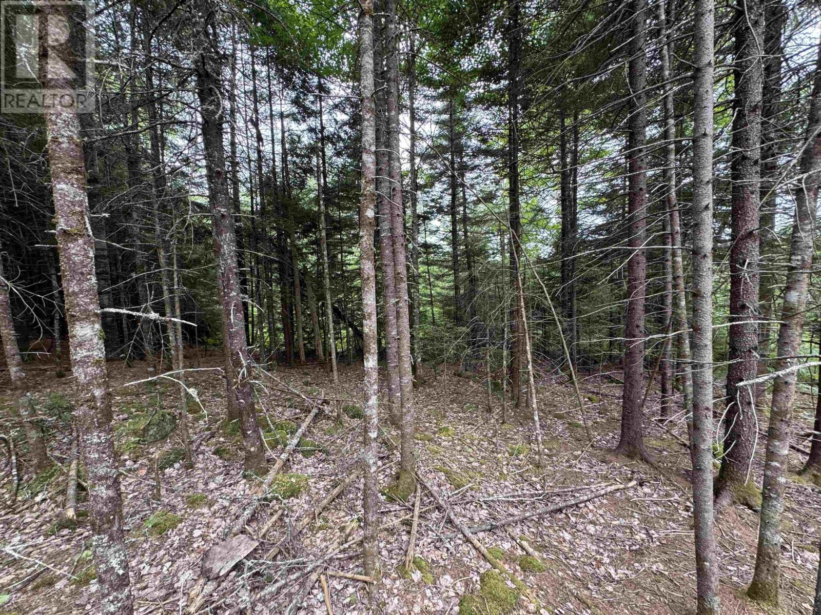 126 Middle Lake South Road, Vaughan, Nova Scotia  B0N 2T0 - Photo 24 - 202518273