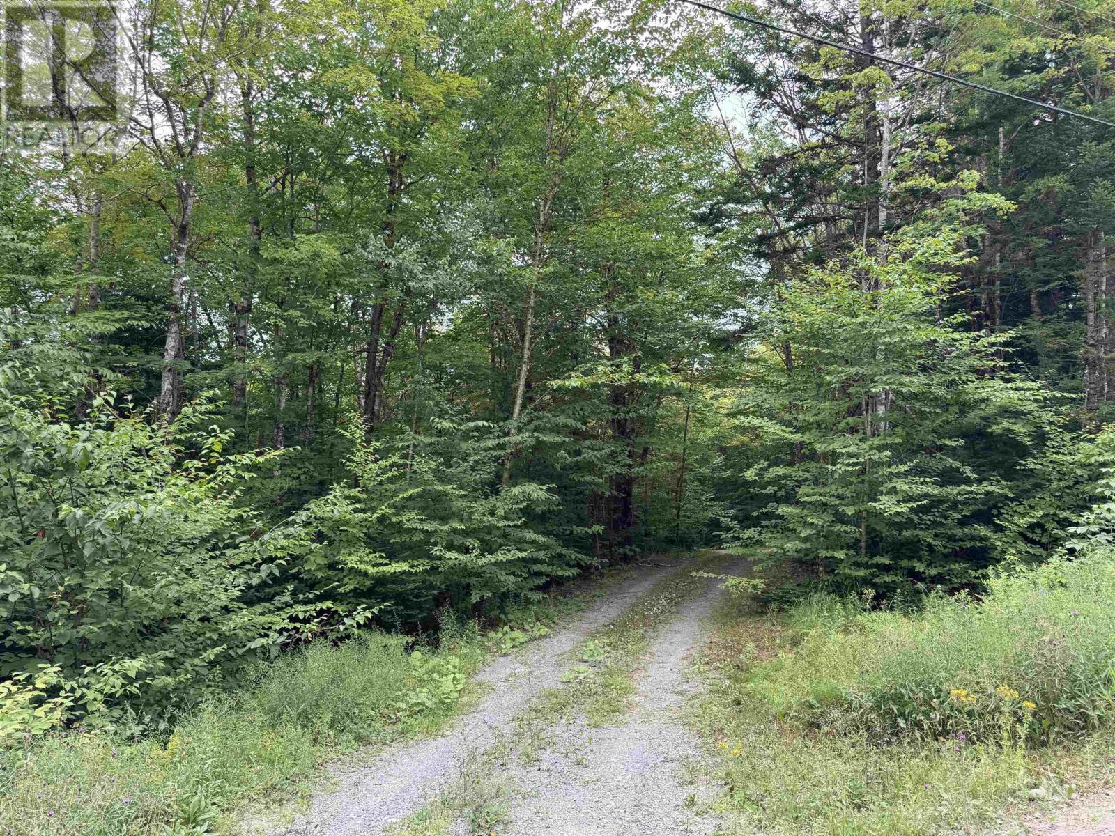 126 Middle Lake South Road, Vaughan, Nova Scotia  B0N 2T0 - Photo 31 - 202518273
