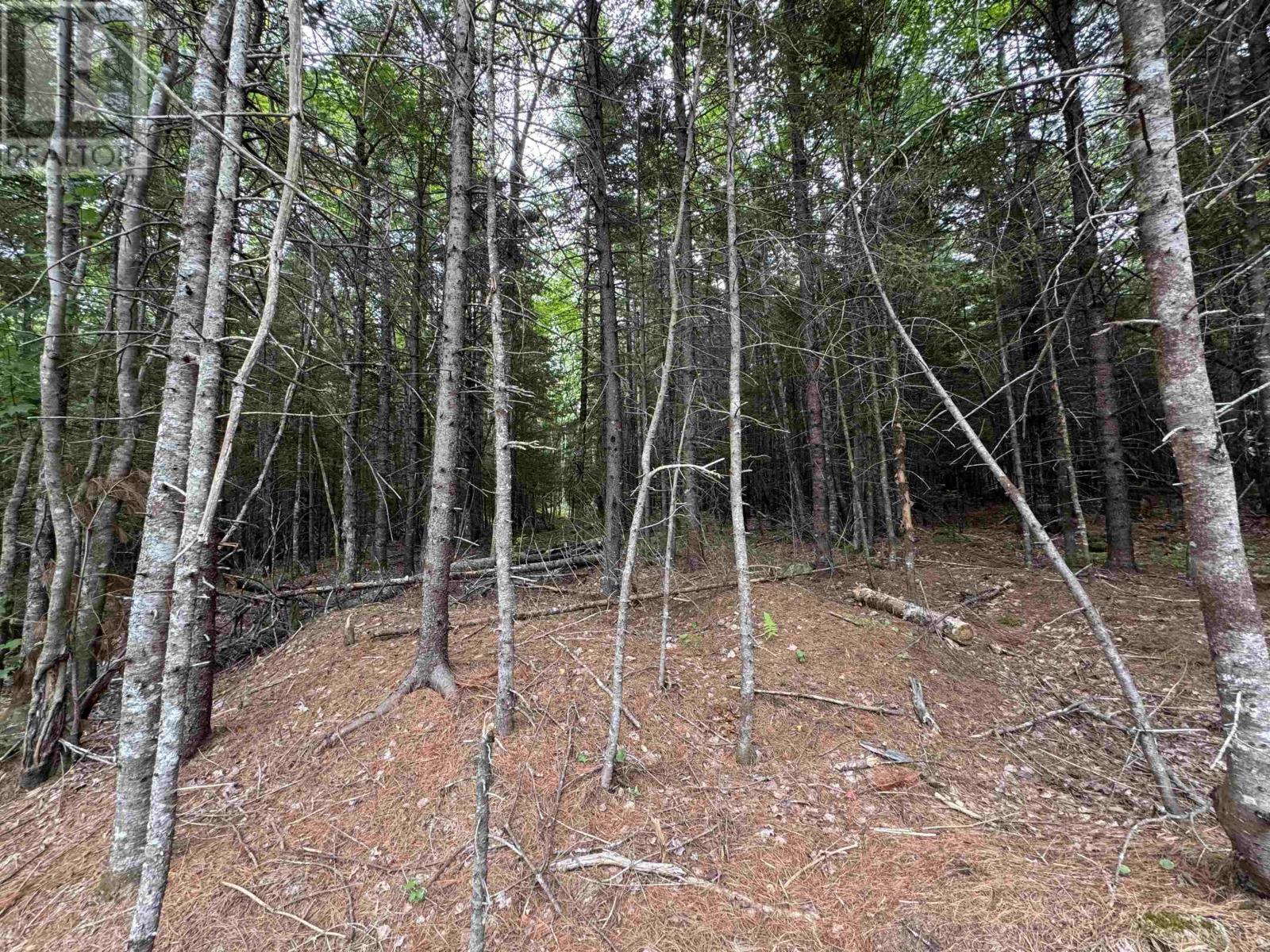 126 Middle Lake South Road, Vaughan, Nova Scotia  B0N 2T0 - Photo 25 - 202518273
