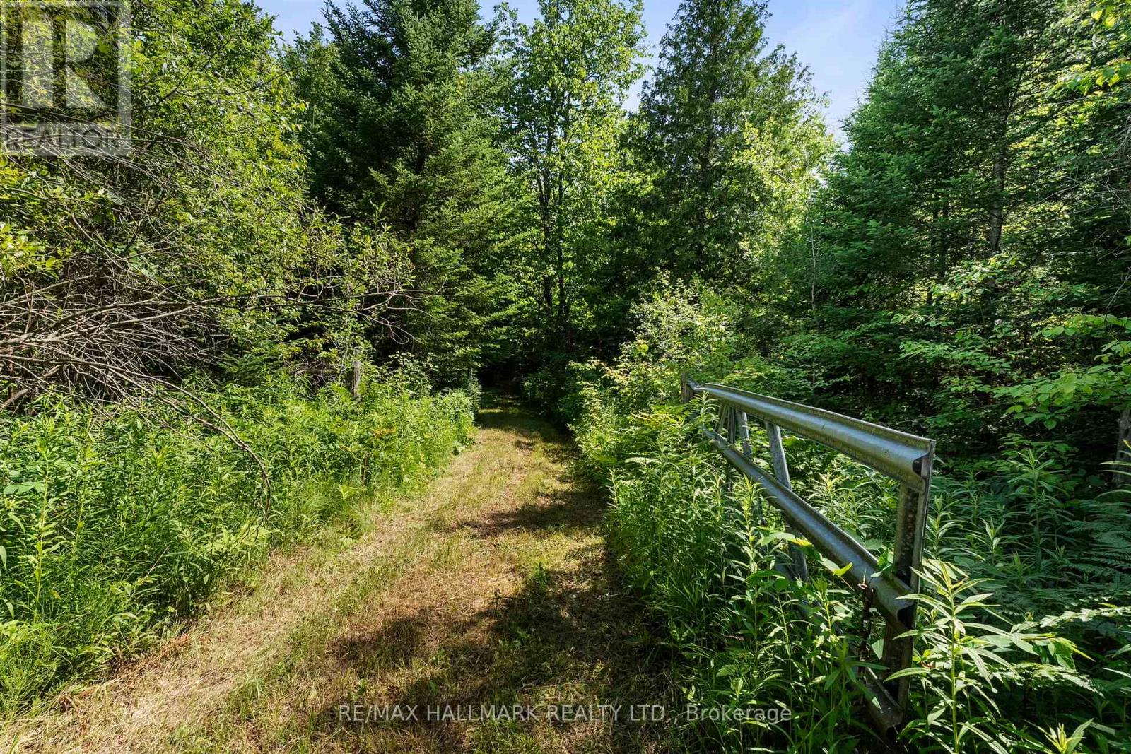 24093 Weirs Side Road, Georgina, Ontario  L0E 1N0 - Photo 19 - N12340268