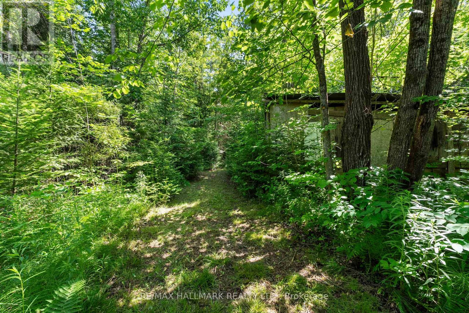24093 Weirs Side Road, Georgina, Ontario  L0E 1N0 - Photo 20 - N12340268