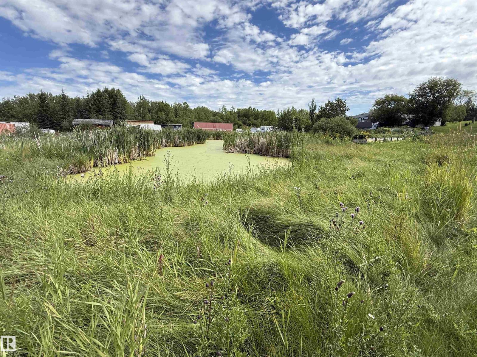 #145 22458 Twp Road 510, Rural Strathcona County, Alberta  T8C 1H1 - Photo 50 - E4452533