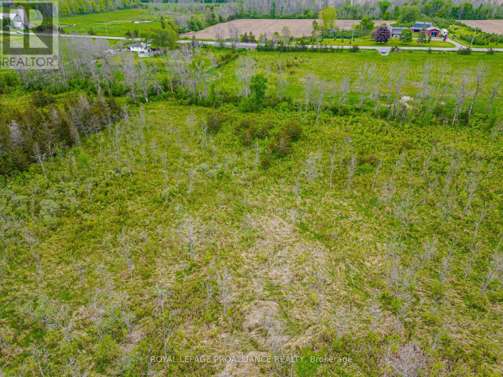 Pt Lt 6 County Road 8 (Part 3), Greater Napanee, Ontario  K7R 3K7 - Photo 8 - X12340445